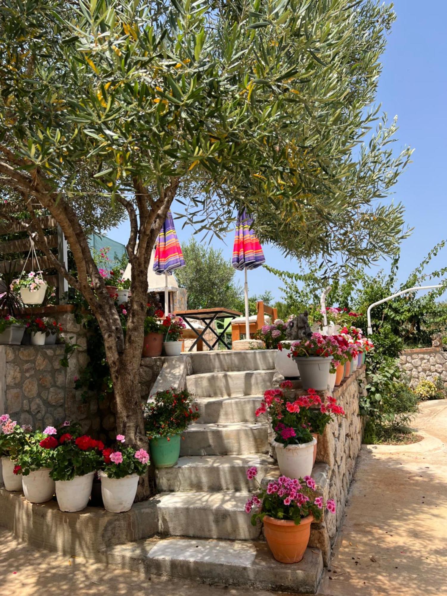 Apartment Erjon Εξαμίλιο Εξωτερικό φωτογραφία